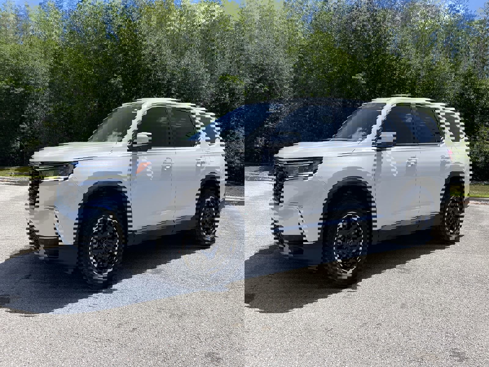 2025 Honda Pilot EX-L photo 3