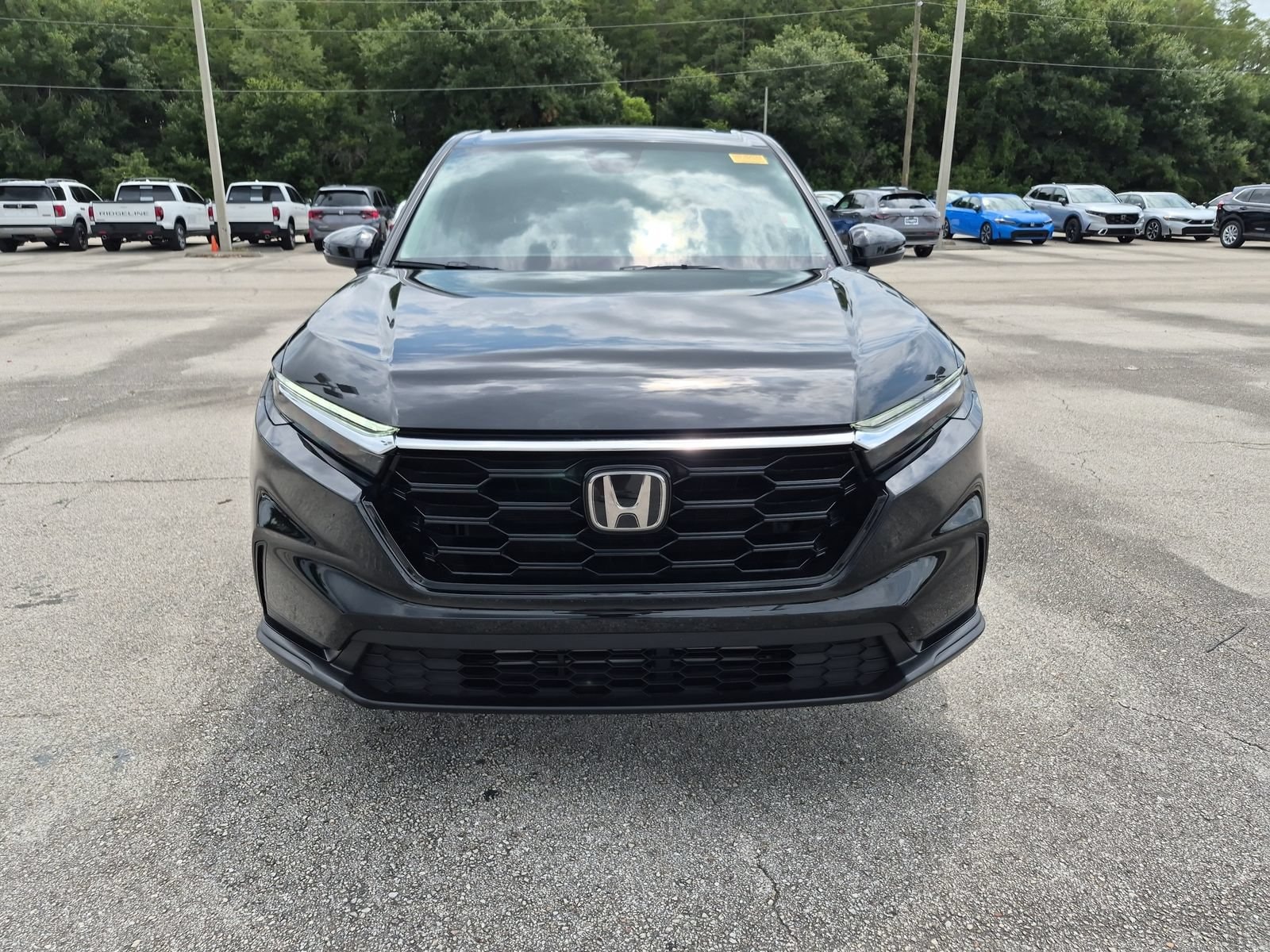 2024 Honda CR-V EX - Photo 10