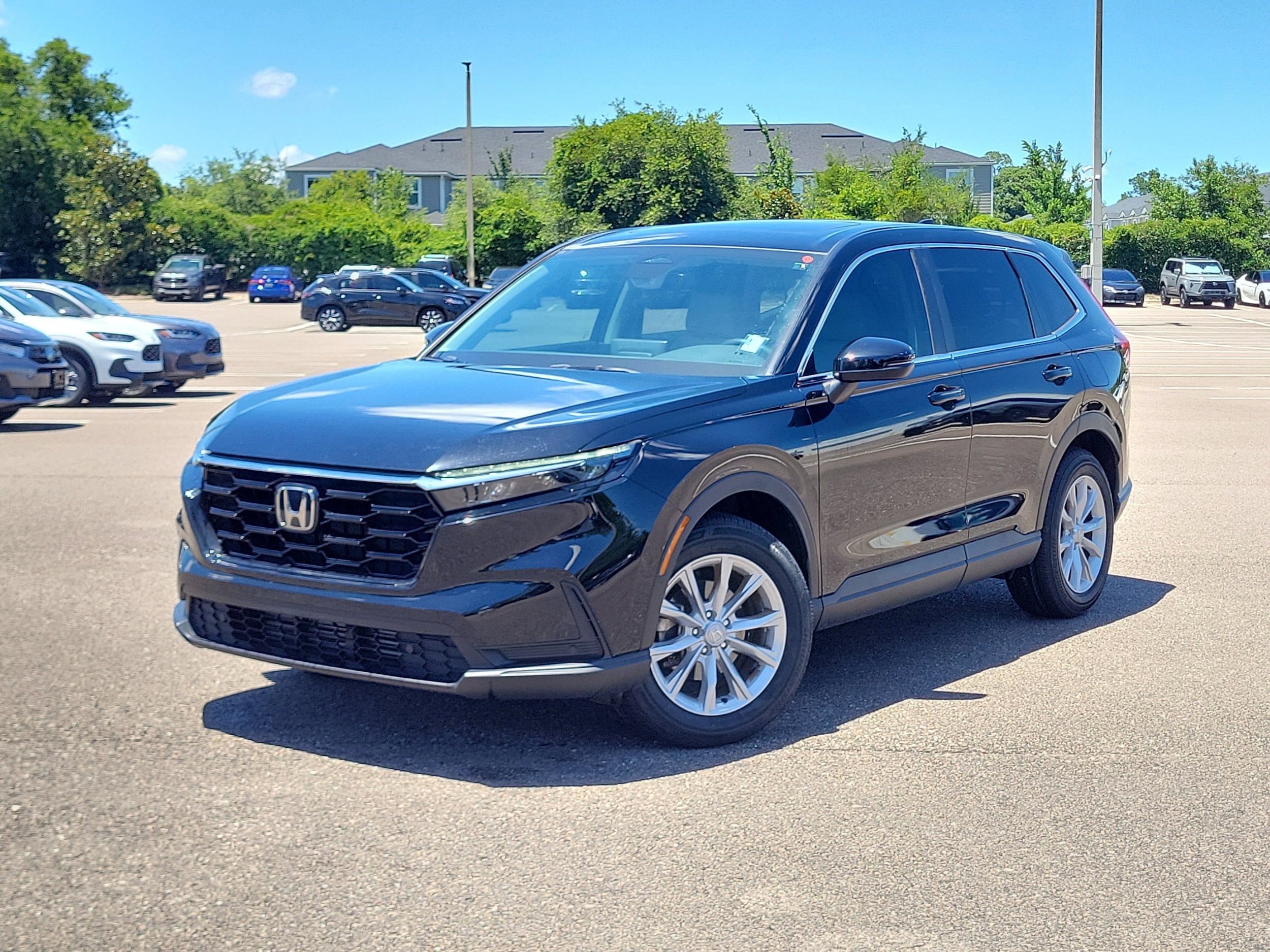 2025 Honda CR-V EX-L AWD's photo