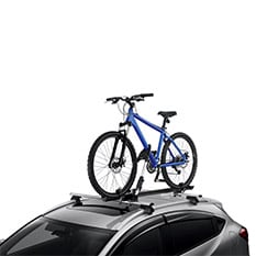 Roof Bike