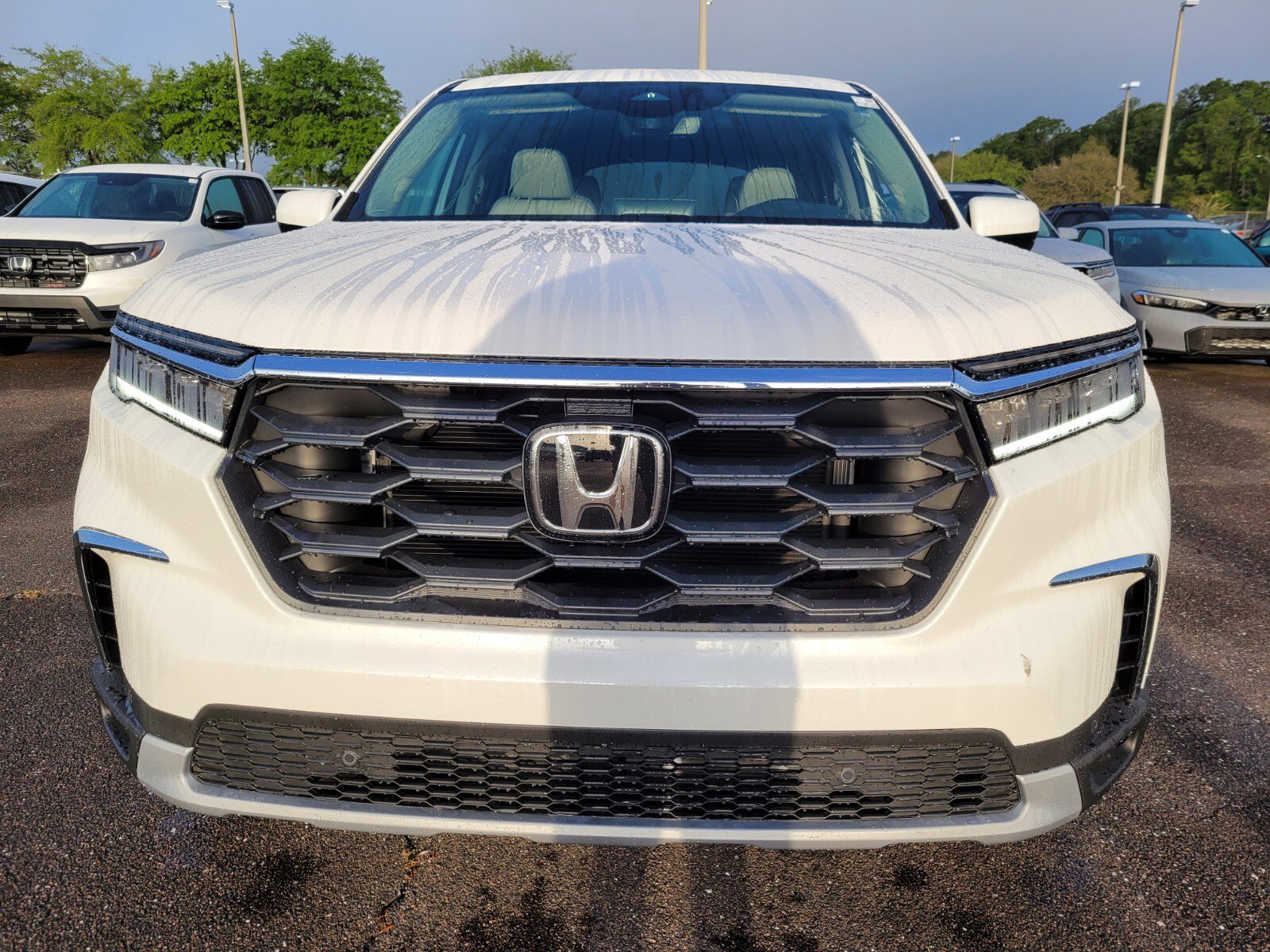 2025 Honda Pilot EX-L photo 2