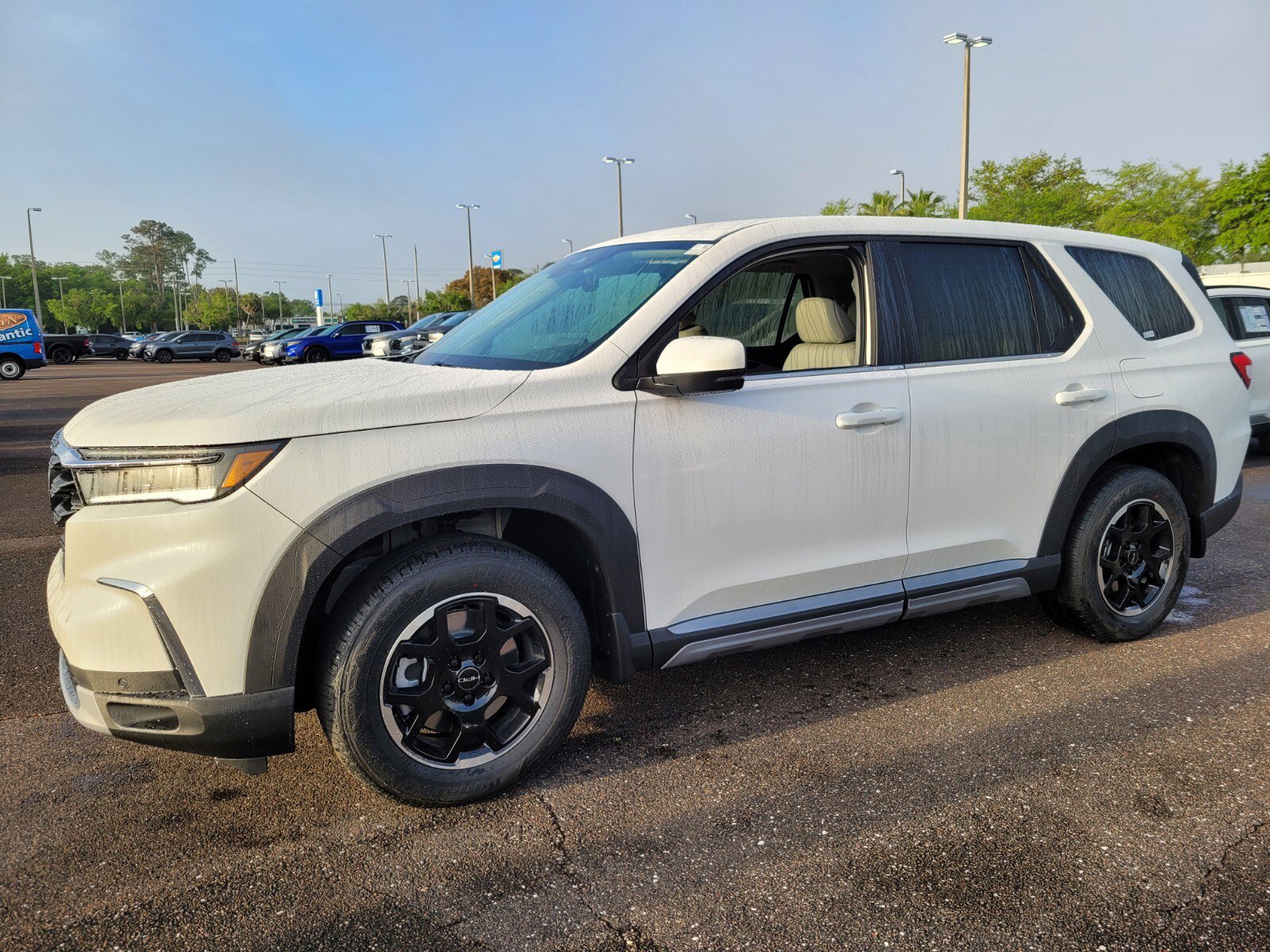 2025 Honda Pilot EX-L photo 3