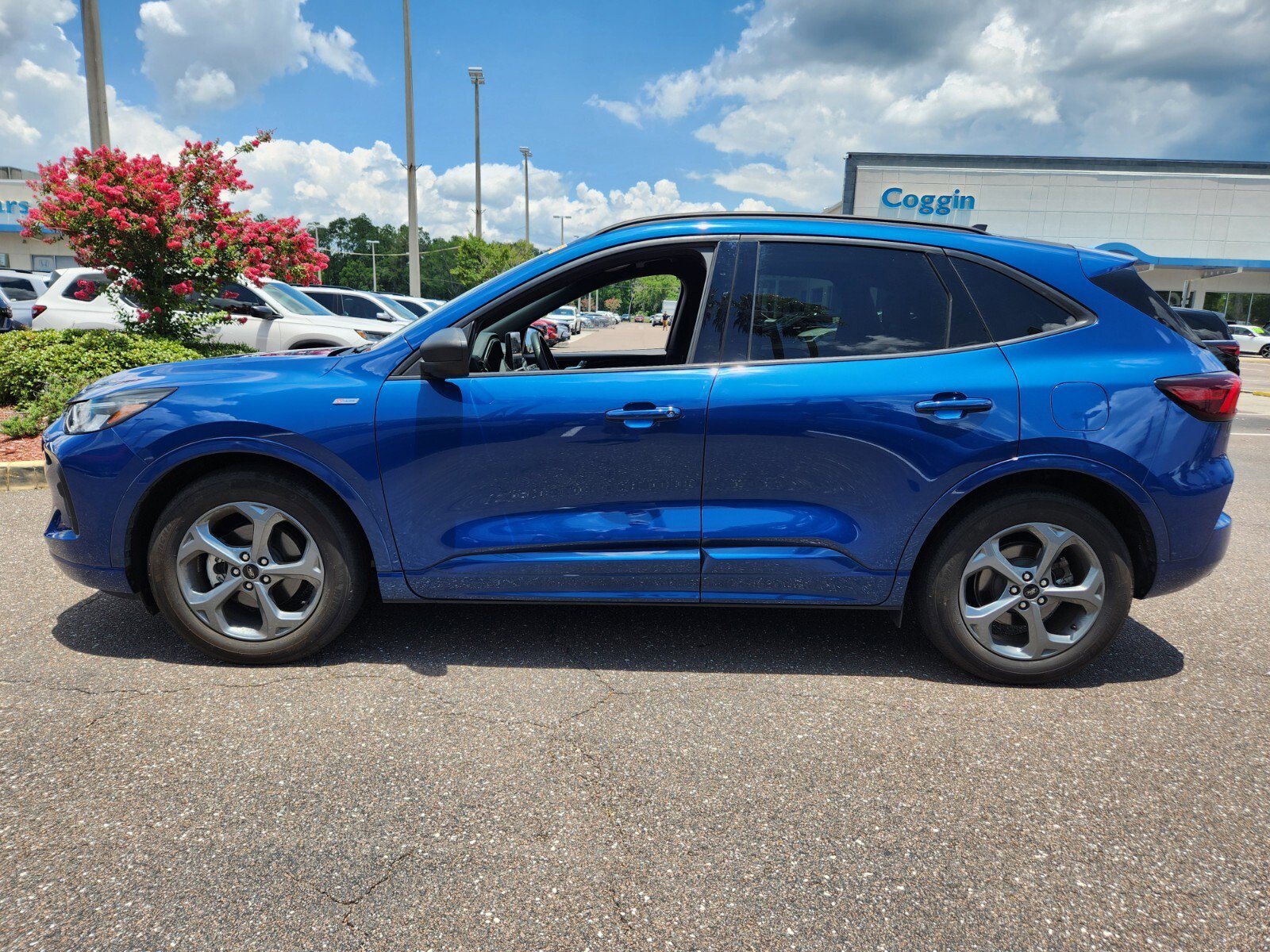 Used 2023 Ford Escape ST-Line with VIN 1FMCU0MN5PUA46526 for sale in Jacksonville, FL