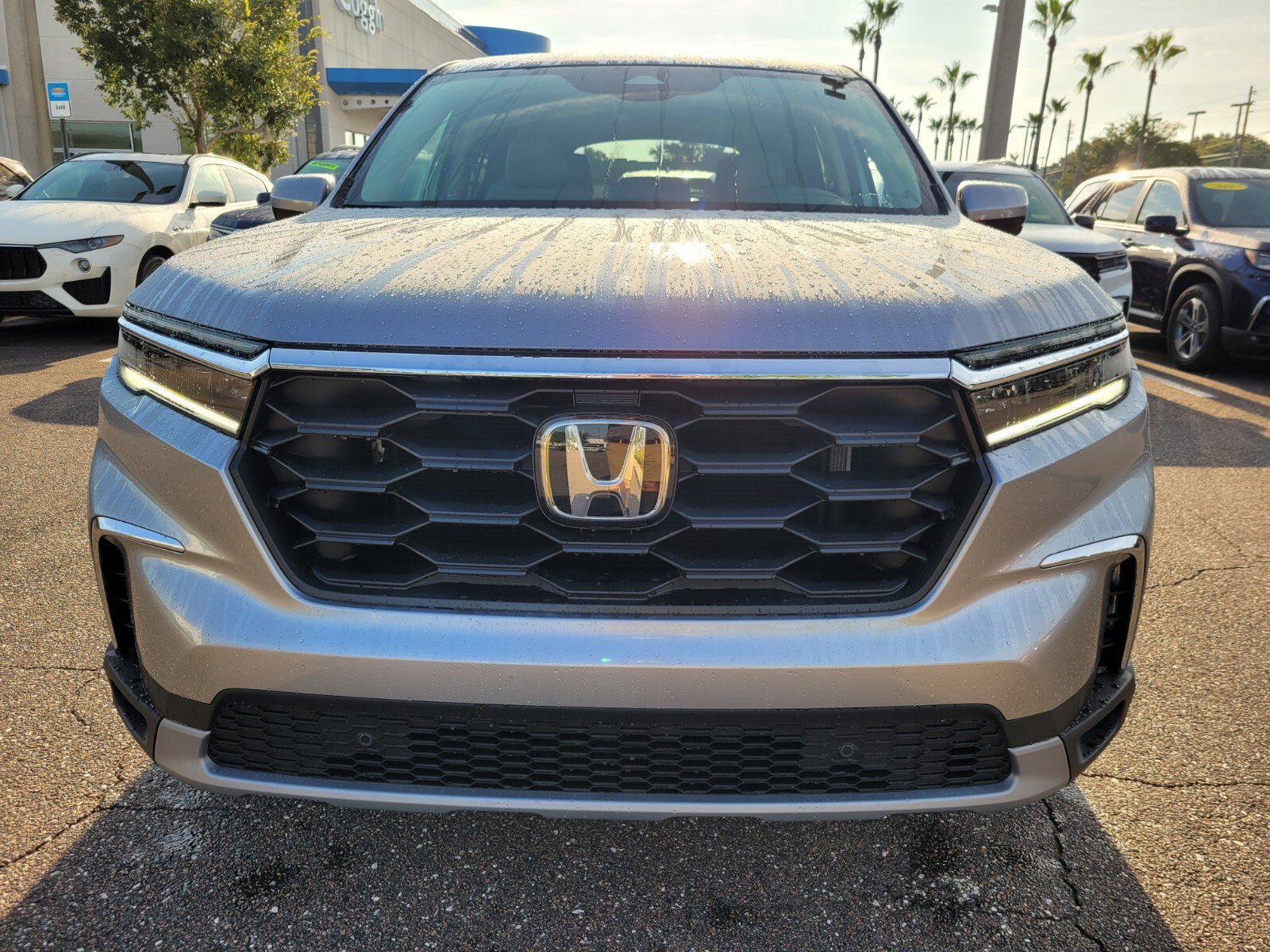 2025 Honda Pilot EX-L photo 2