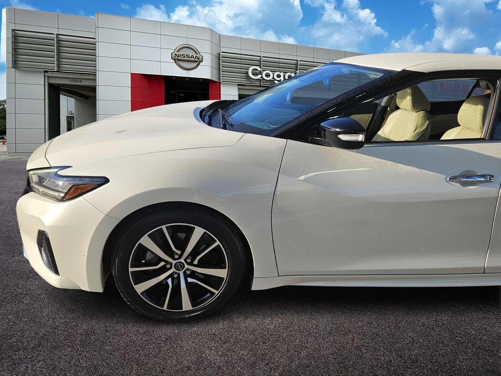 Used 2023 Nissan Maxima SV with VIN 1N4AA6CV4PC509373 for sale in Jacksonville, FL