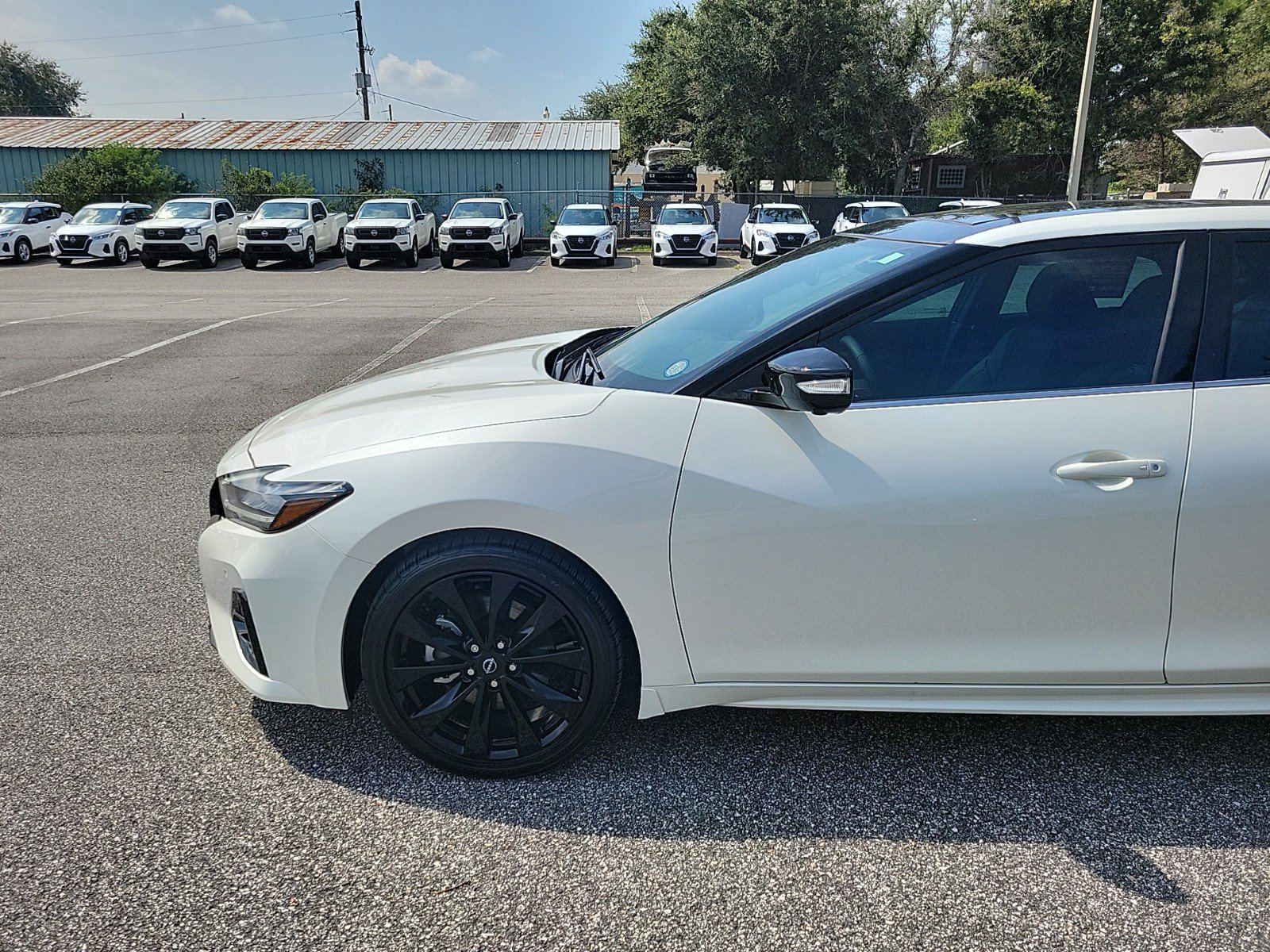 Certified 2023 Nissan Maxima SR with VIN 1N4AA6EV5PC506592 for sale in Jacksonville, FL