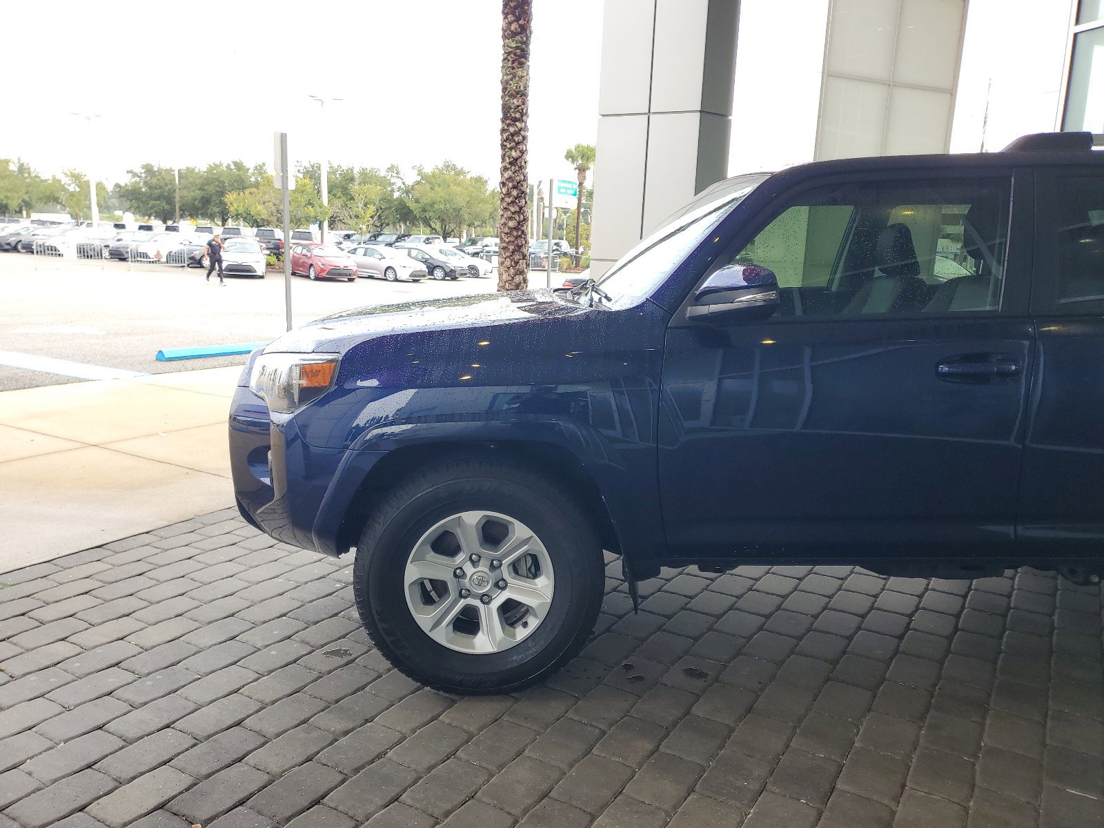 Used 2023 Toyota 4Runner SR5 Premium with VIN JTEFU5JR4P5299784 for sale in Jacksonville, FL