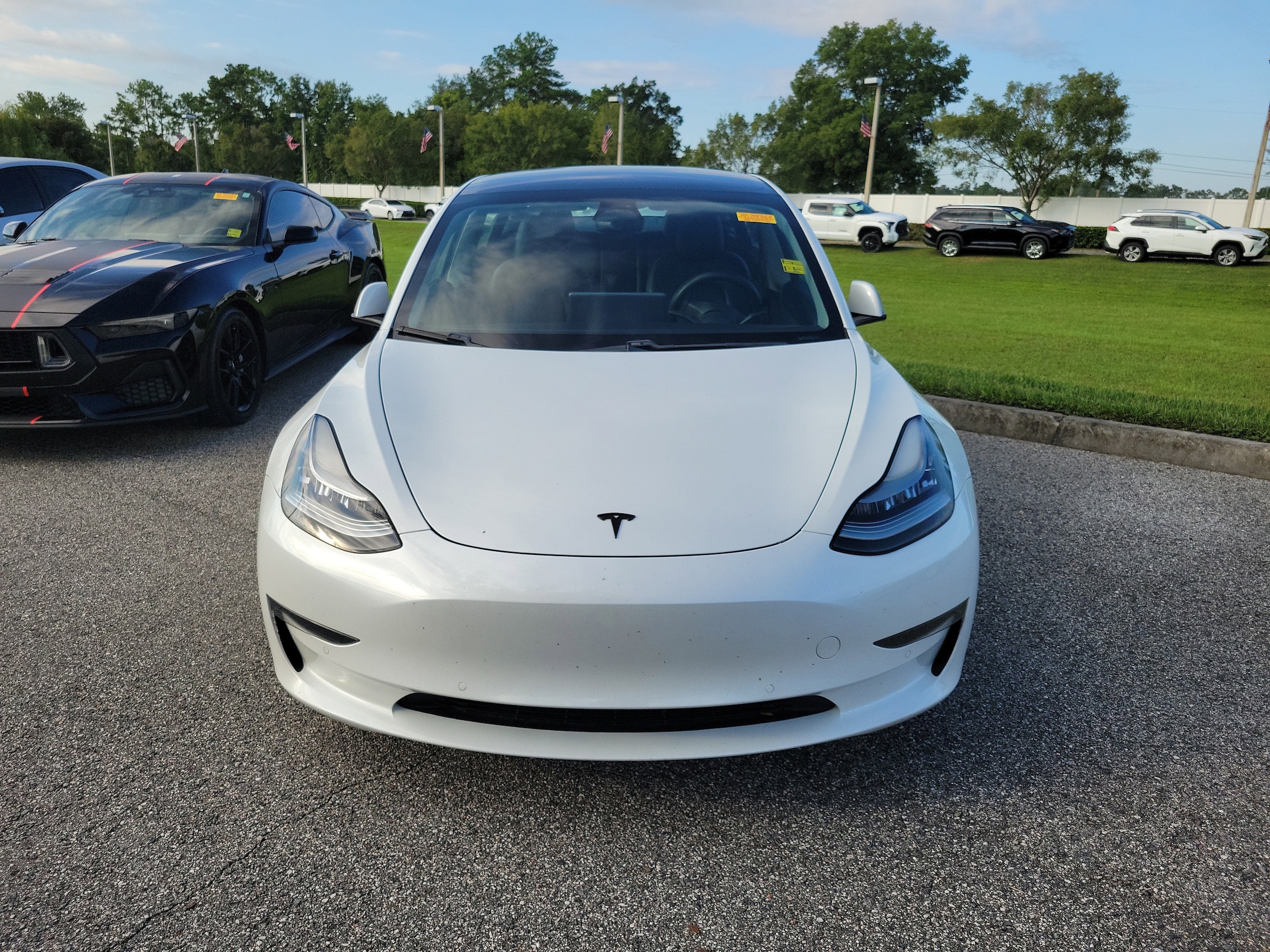 Used 2021 Tesla Model 3 Base with VIN 5YJ3E1EA2MF859944 for sale in Palm Harbor, FL