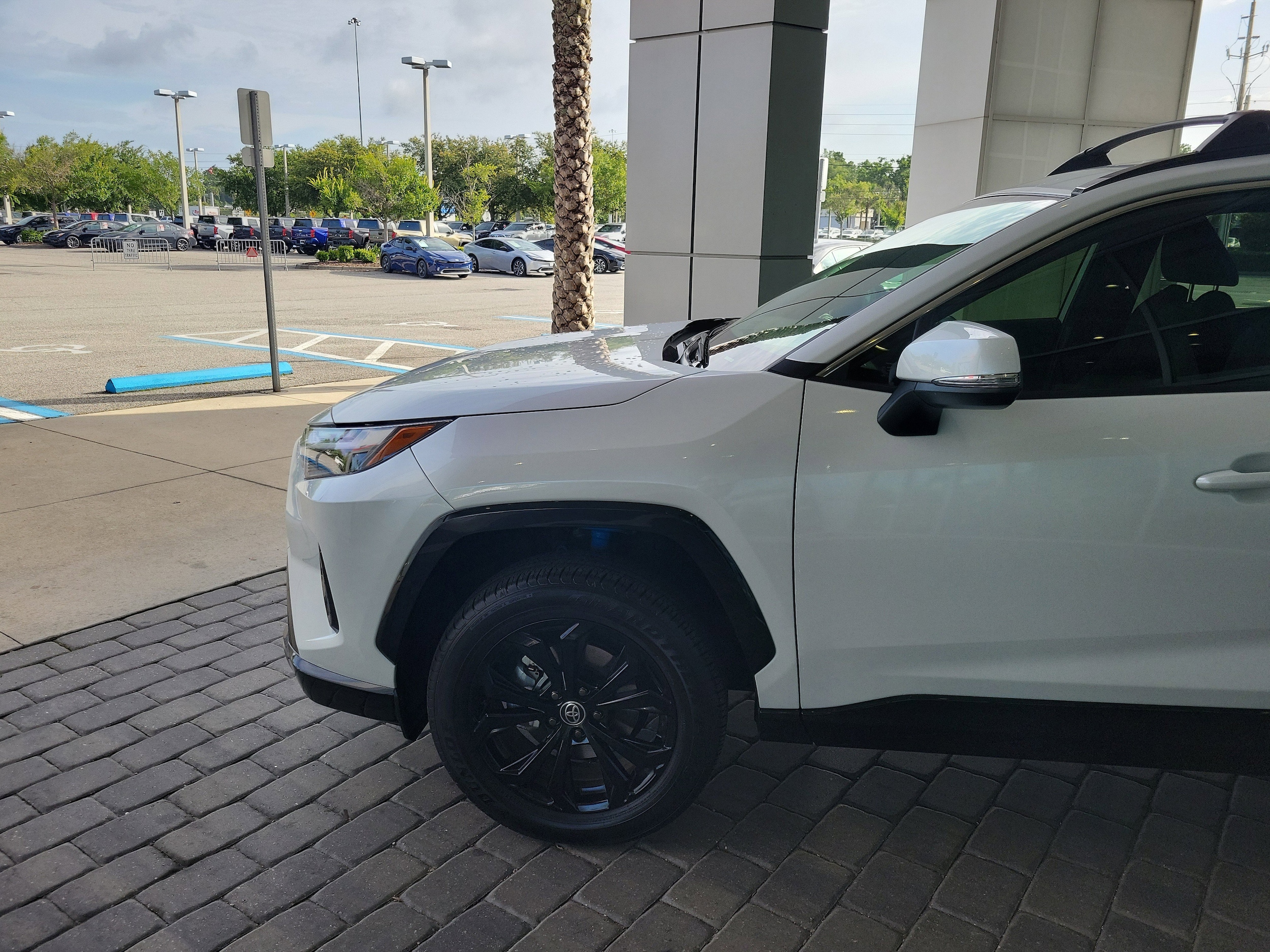 Certified 2024 Toyota RAV4 SE with VIN JTM16RFV5RJ058672 for sale in Jacksonville, FL