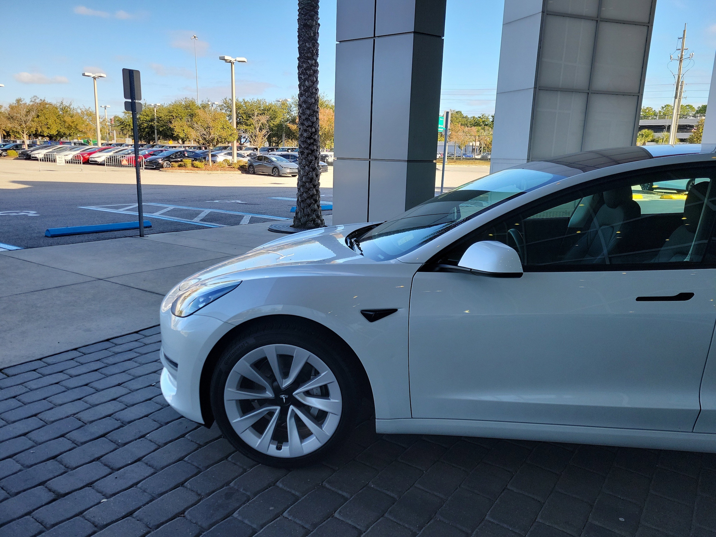 Used 2022 Tesla Model 3 Long Range with VIN 5YJ3E1EB0NF205230 for sale in Jacksonville, FL