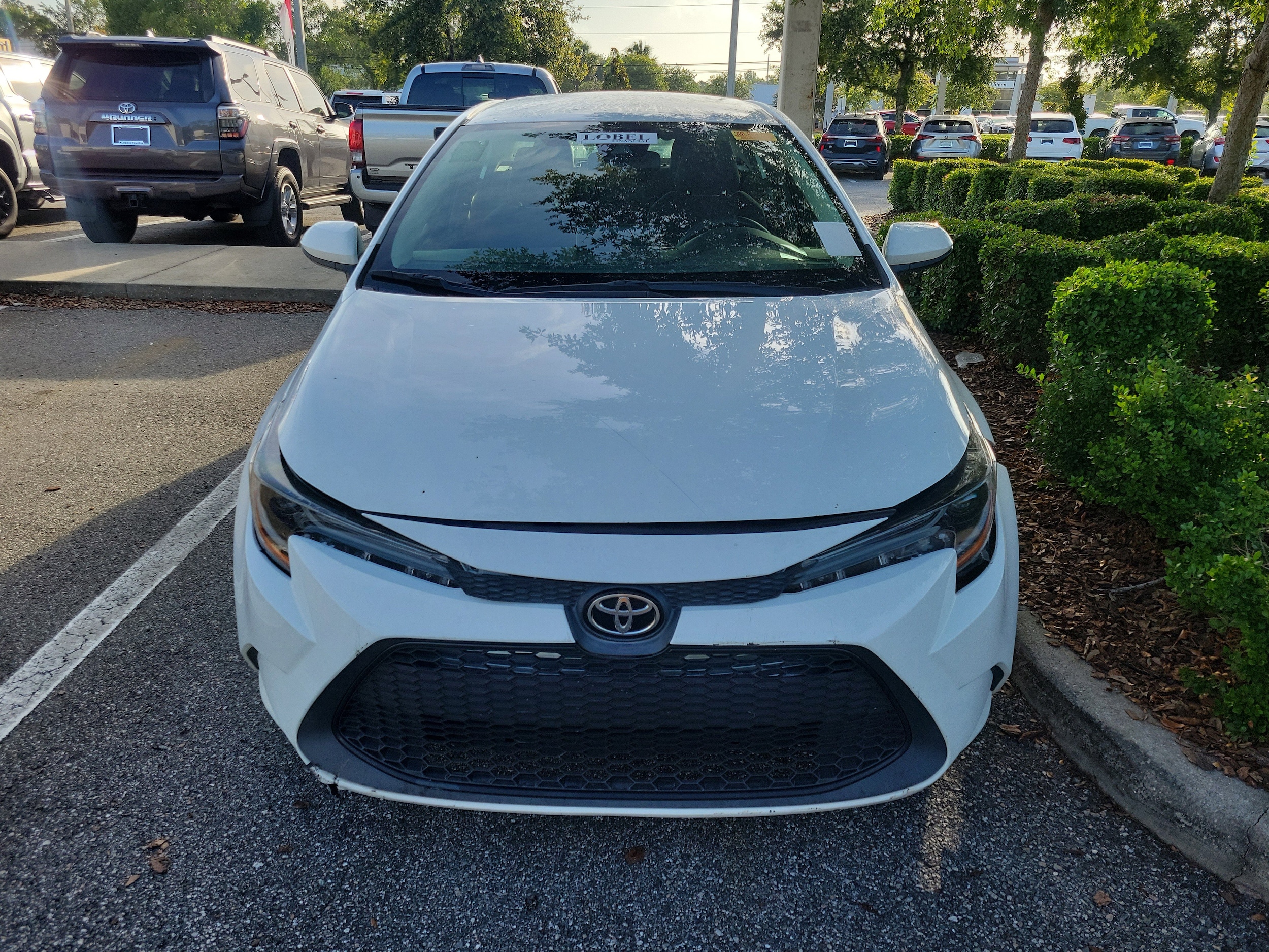 Used 2021 Toyota Corolla LE with VIN 5YFEPMAE8MP184019 for sale in Jacksonville, FL