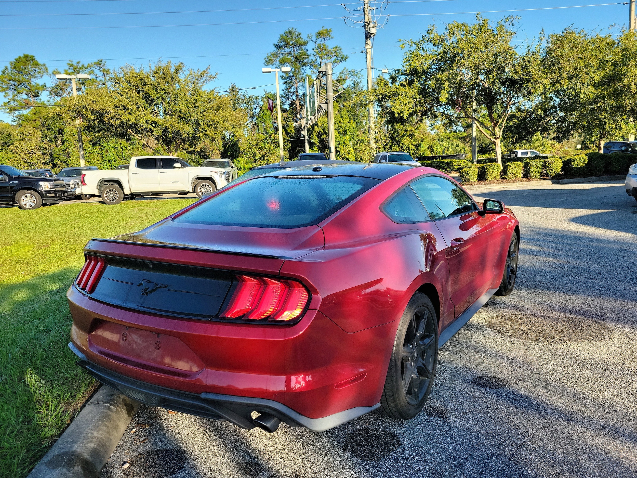 View 30
