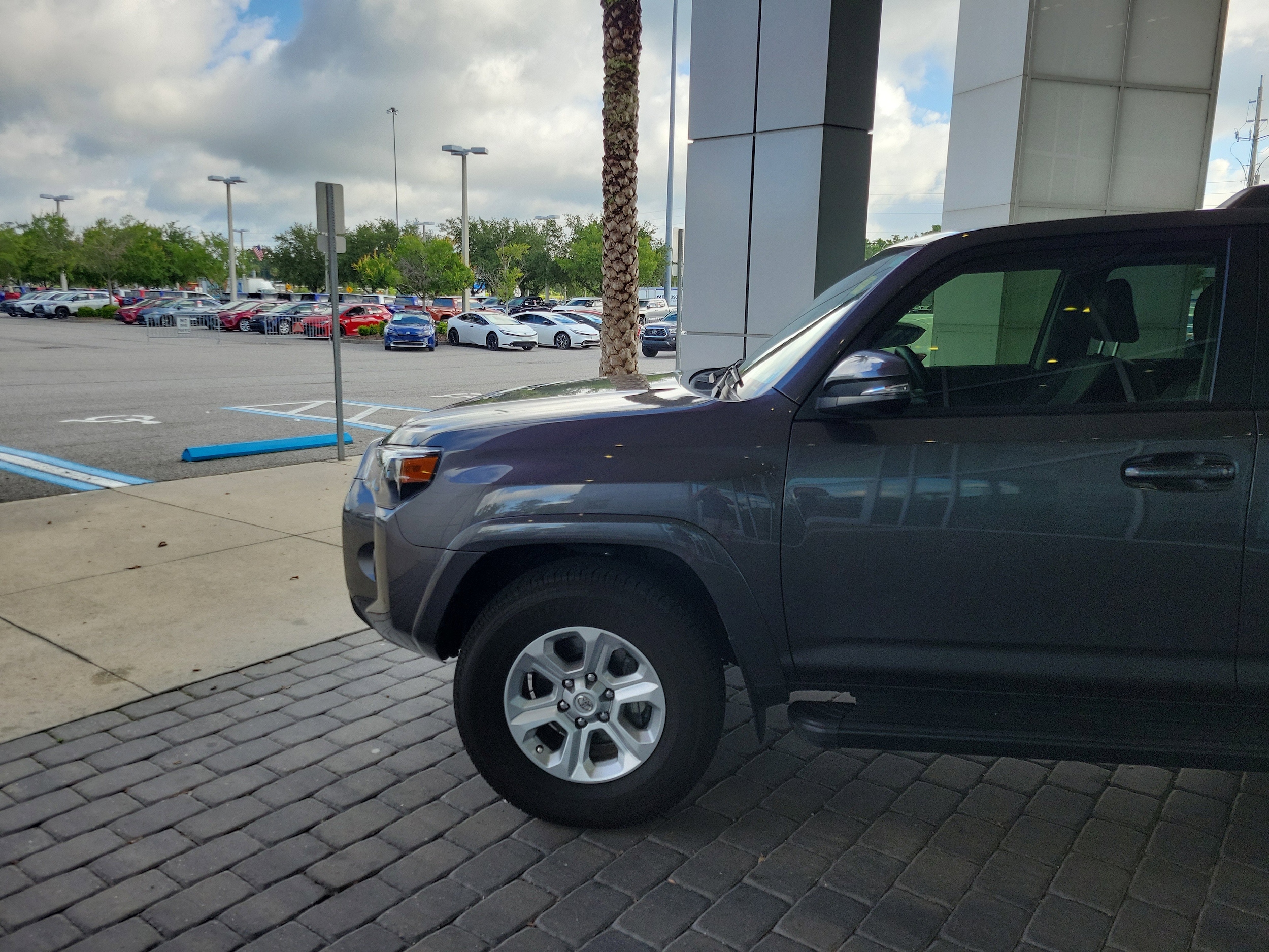 Certified 2023 Toyota 4Runner SR5 Premium with VIN JTENU5JR5P6180650 for sale in Jacksonville, FL
