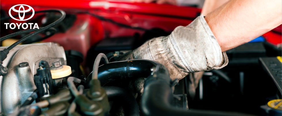 Toyota Service Coggin Toyota vs. Small Repair Shops