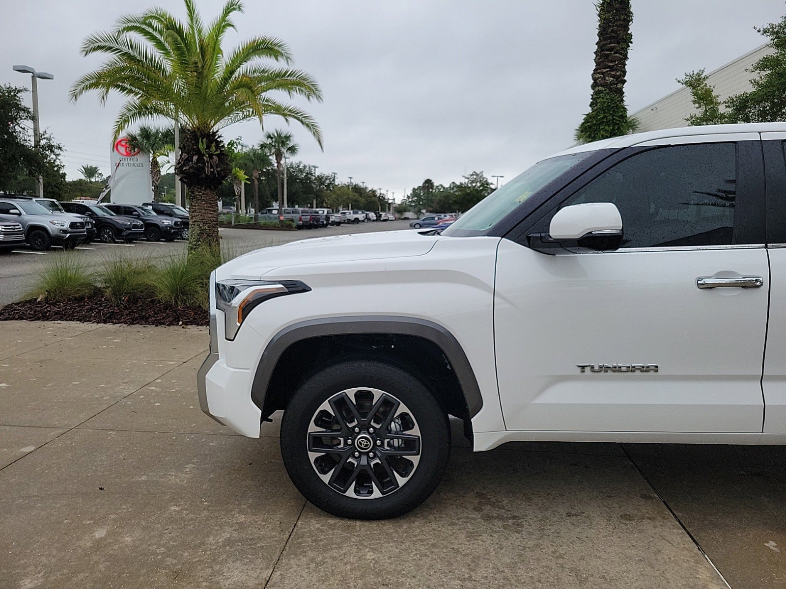 Used 2024 Toyota Tundra Limited with VIN 5TFJA5DB3RX194442 for sale in Jacksonville, FL