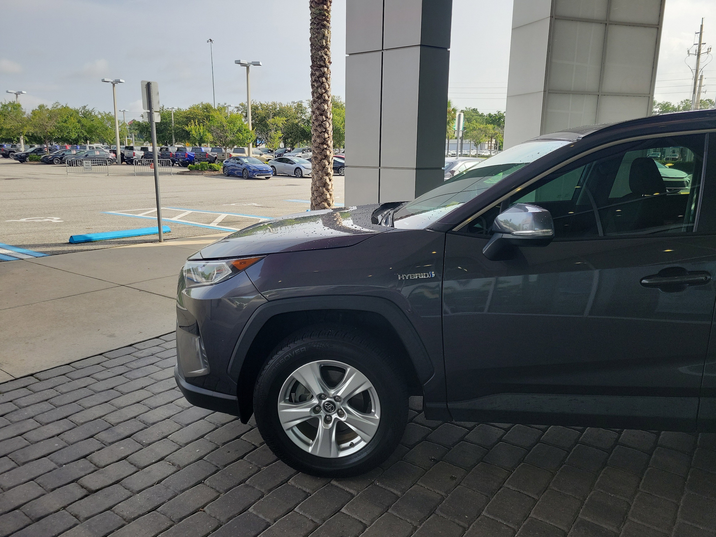 Used 2019 Toyota RAV4 XLE with VIN 2T3RWRFV9KW014815 for sale in Jacksonville, FL