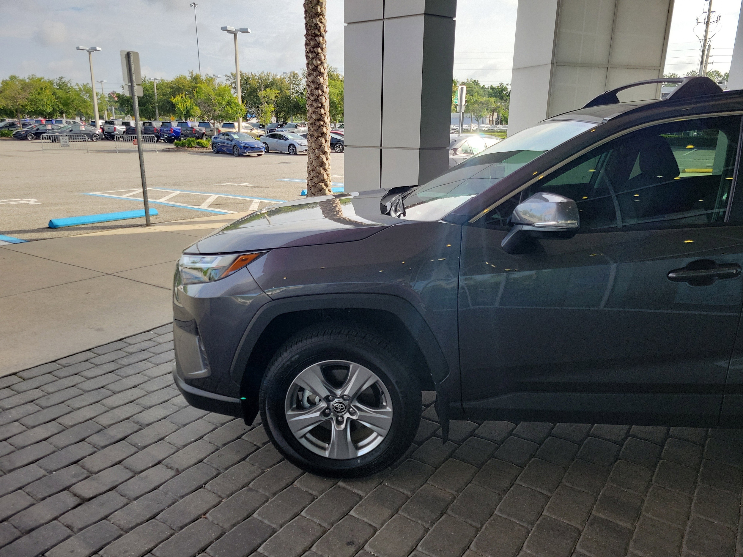 Certified 2024 Toyota RAV4 XLE with VIN 2T3W1RFV5RC298652 for sale in Jacksonville, FL