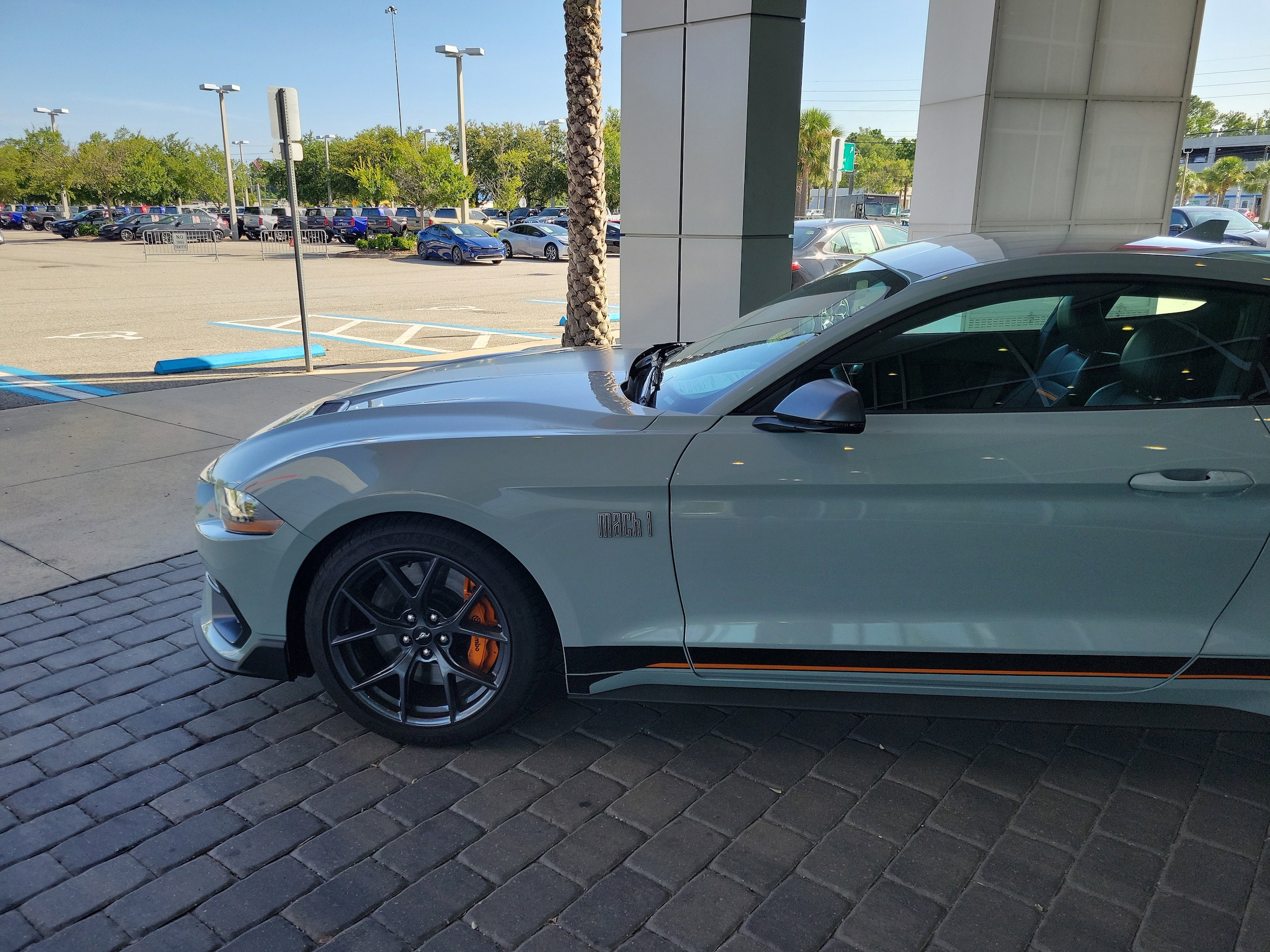Used 2022 Ford Mustang Mach 1 with VIN 1FA6P8R0XN5551995 for sale in Jacksonville, FL