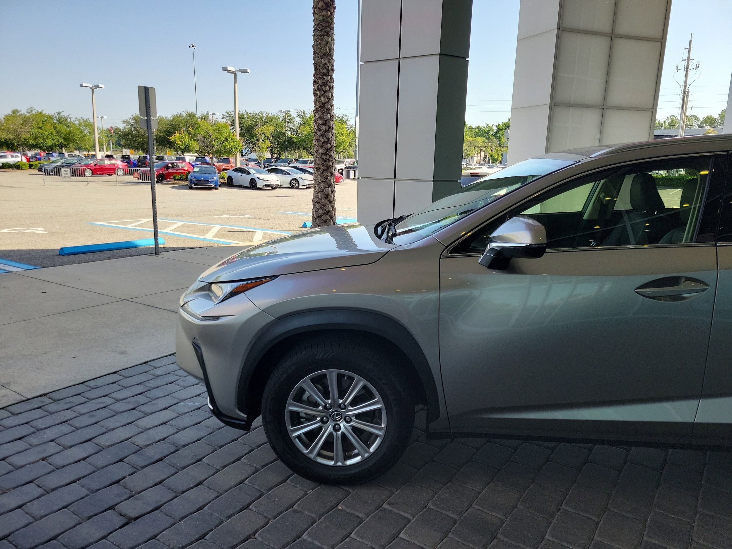 Used 2020 Lexus NX 300 with VIN JTJDARBZ5L5008257 for sale in Jacksonville, FL