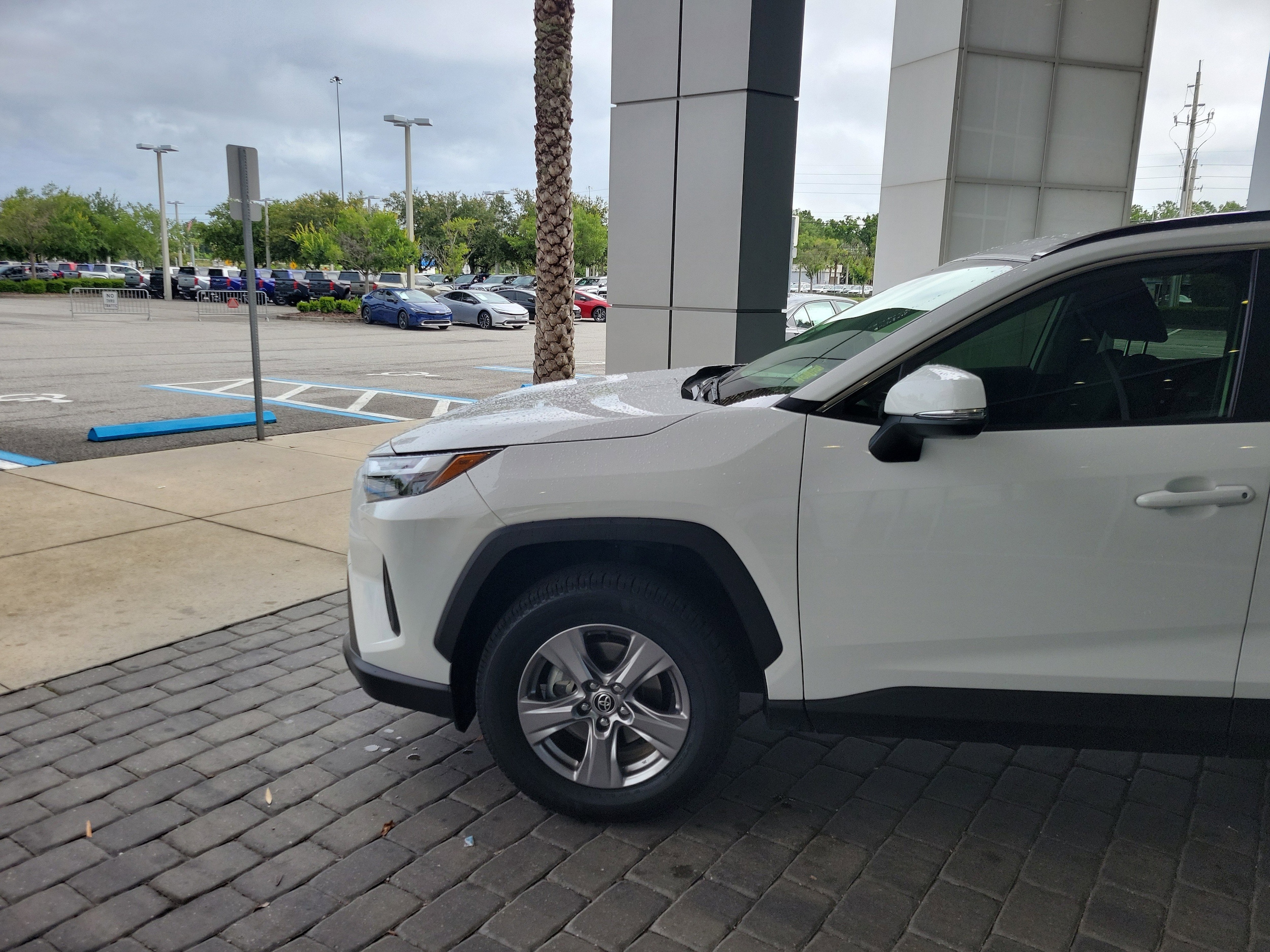 Certified 2023 Toyota RAV4 XLE with VIN JTMRWRFV1PD193873 for sale in Jacksonville, FL