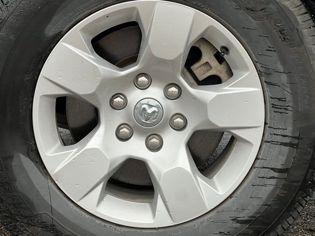 Photo 5