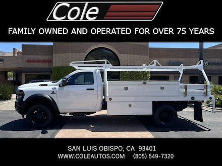 2025 Ram 4500 Chassis Cab 4500 TRADESMAN CHASSIS REGULAR CAB 4X4 84' CA Pickup