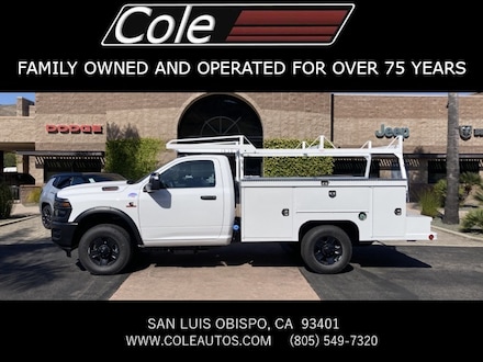 2025 Ram 3500 Chassis Cab 3500 TRADESMAN CHASSIS REGULAR CAB 4X4 60' CA Pickup