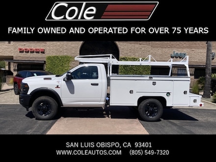 2025 Ram 3500 Chassis Cab 3500 TRADESMAN CHASSIS REGULAR CAB 4X4 60' CA Pickup