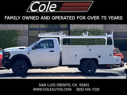 2025 Ram 3500 Chassis Cab 3500 TRADESMAN CHASSIS REGULAR CAB 4X4 60' CA Pickup
