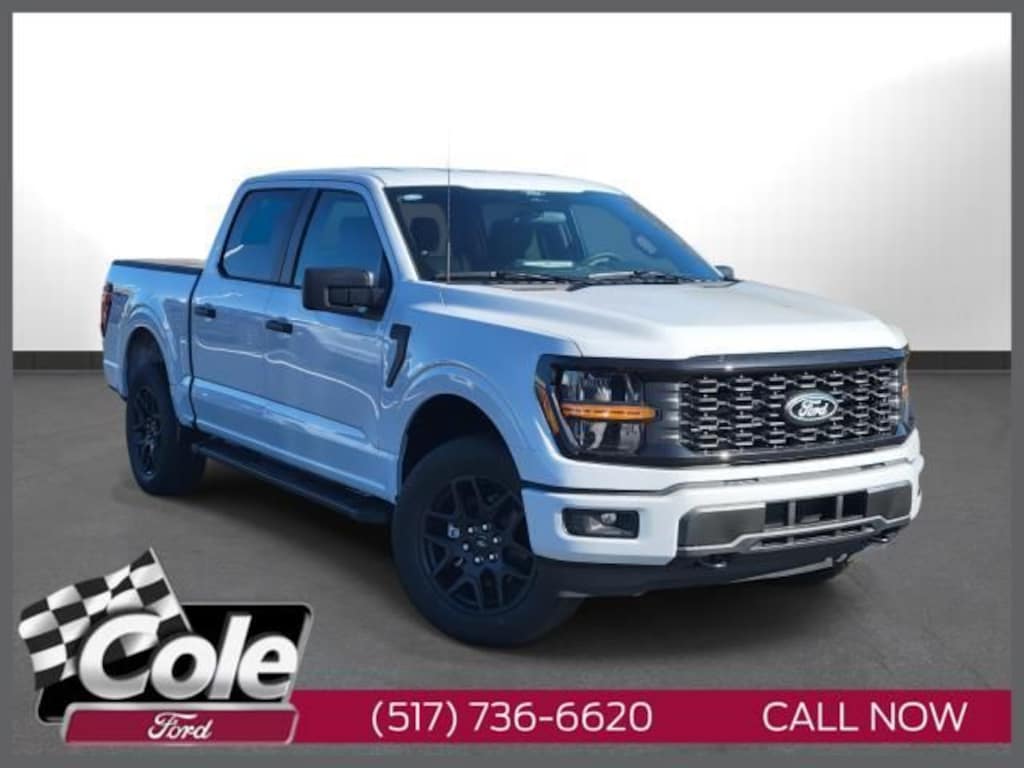 New 2025 Ford F-150 STX Truck