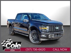 2025 Ford F-150 STX Truck