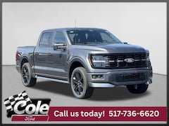 2026 Ford F-150 STX Truck