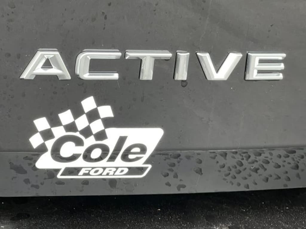 New 2026 Ford Expedition Max Active SUV