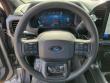2025 Ford F-150 STX Truck