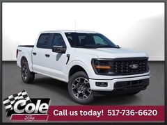 2025 Ford F-150 STX Truck