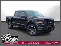 2025 Ford F-150 STX Truck