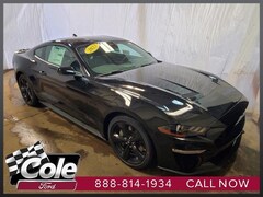 new 2023 Ford Mustang GT Premium Coupe coldwater 