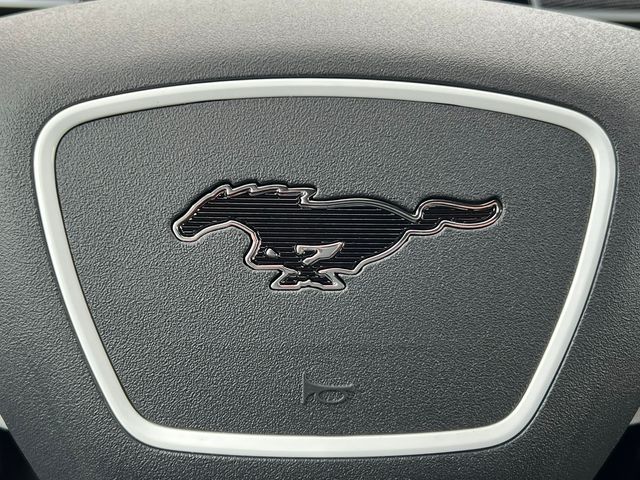 2025 Ford Mustang Mach-E GT - Photo 24