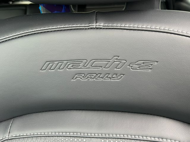 2025 Ford Mustang Mach-E GT - Photo 13