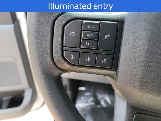 2025 Ford F-350 Super Duty XL - Photo 19