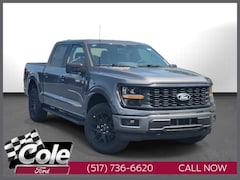 2025 Ford F-150 STX Truck