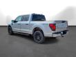 2025 Ford F-150 STX Truck
