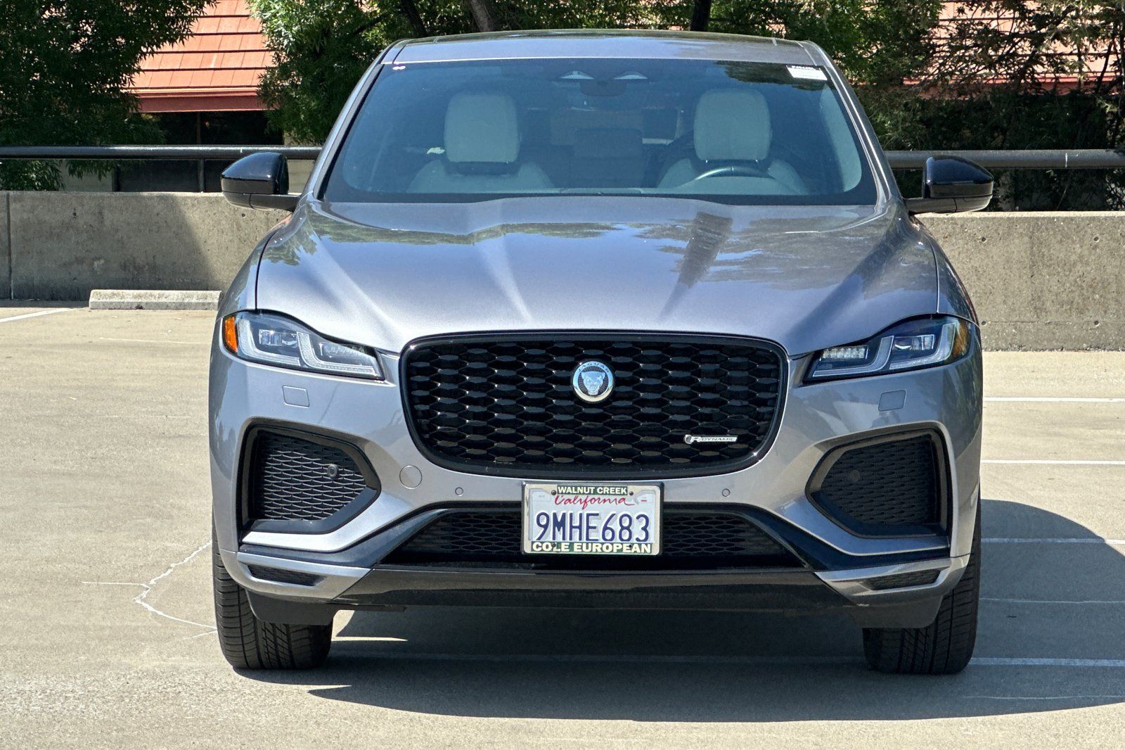 2024 Jaguar F-PACE P250 R-Dynamic S photo 3
