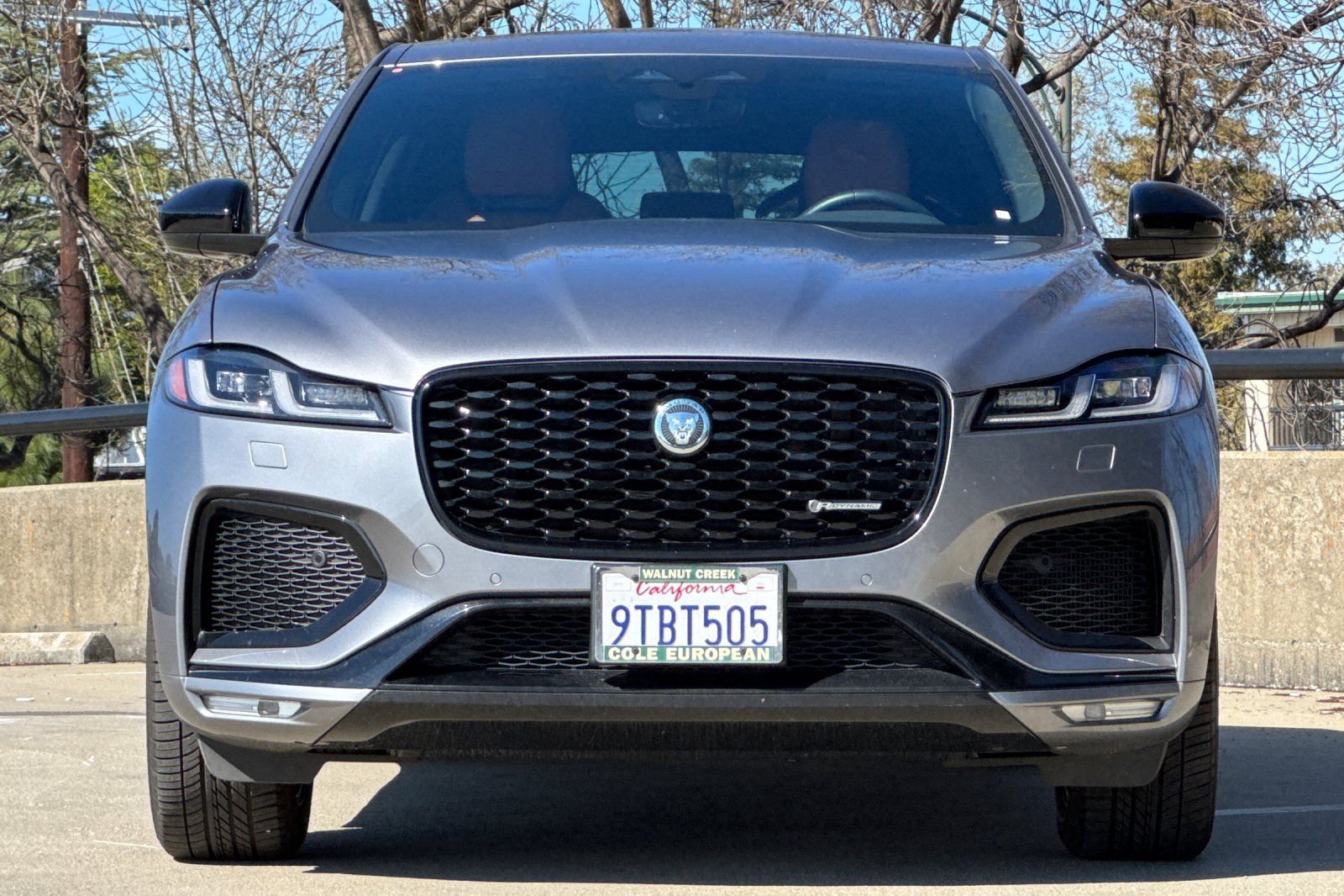 2025 Jaguar F-PACE P400 R-Dynamic S photo 3