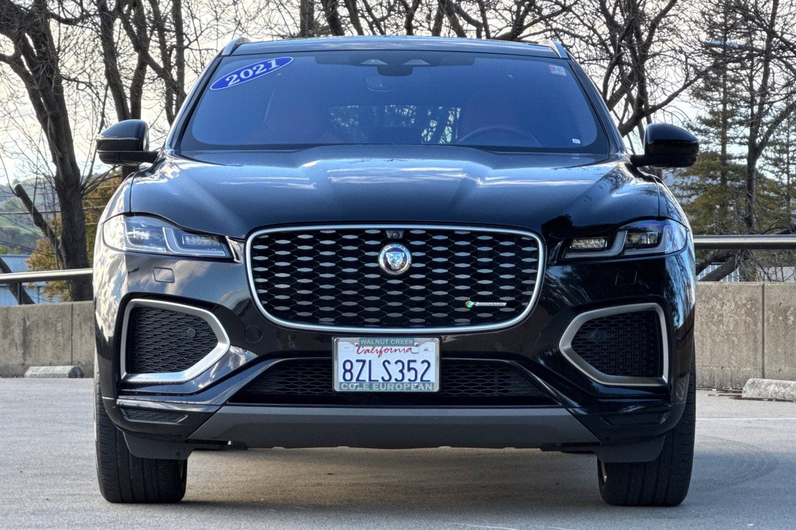 2021 Jaguar F-PACE P400 R-Dynamic S photo 3