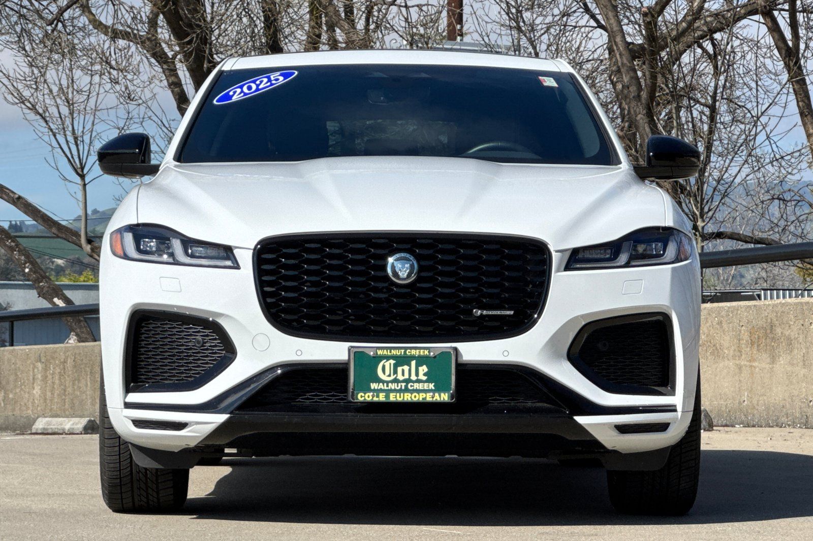 2025 Jaguar F-PACE P250 R-Dynamic S photo 3
