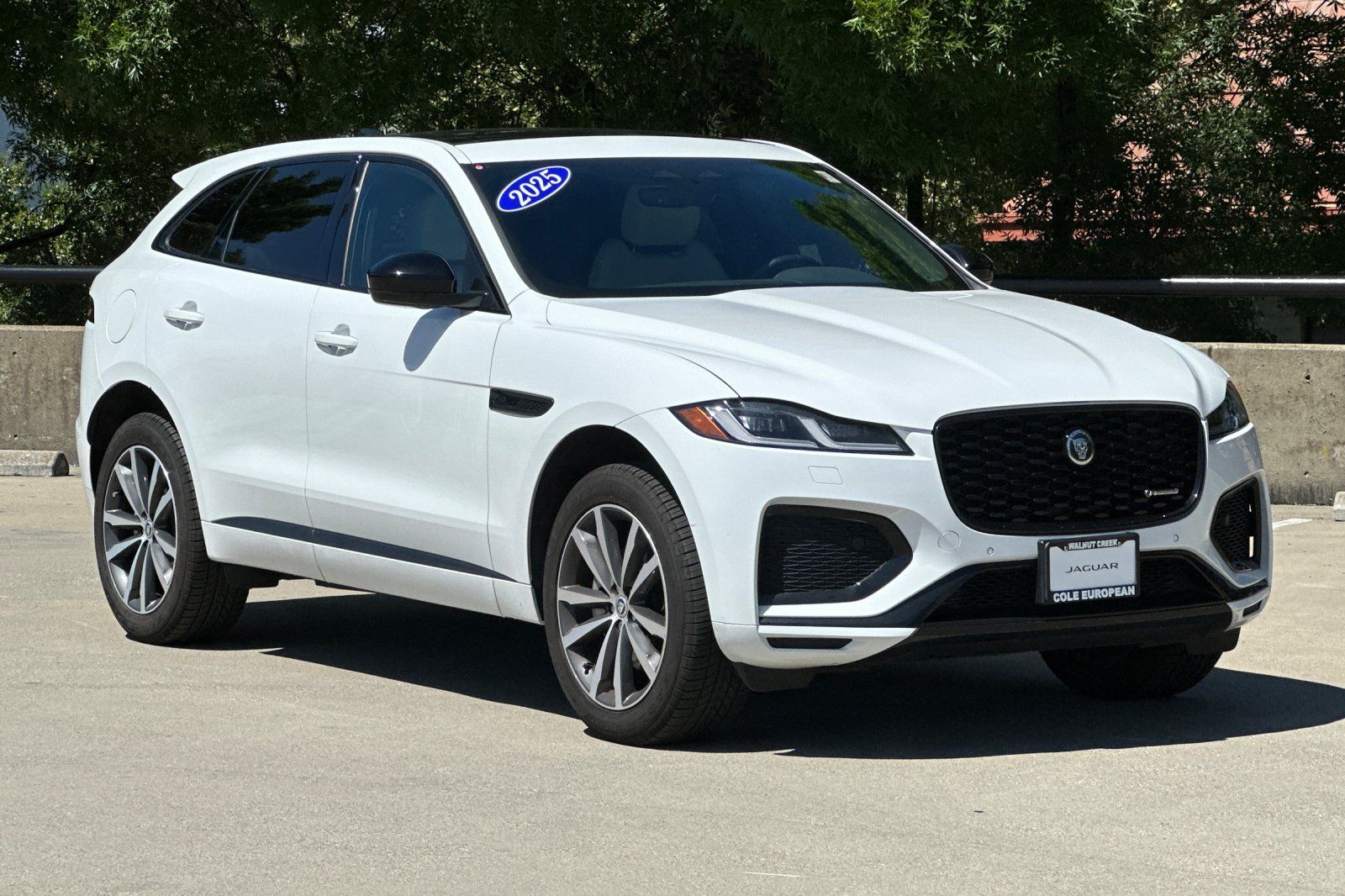 2025 Jaguar F-PACE P250 R-Dynamic S photo 6