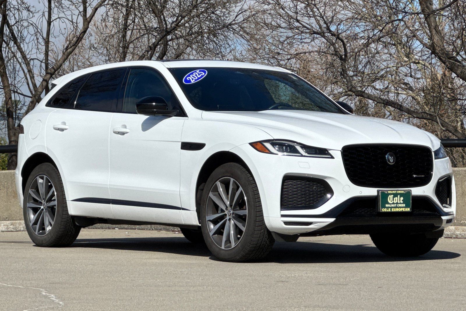 2025 Jaguar F-PACE P250 R-Dynamic S photo 6