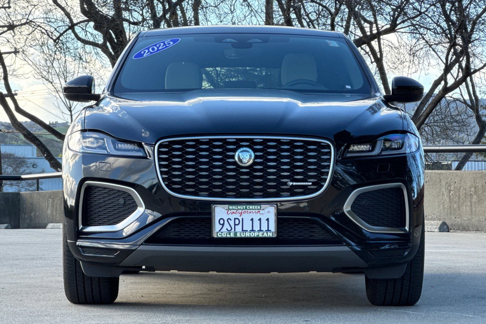 2025 Jaguar F-PACE P250 R-Dynamic S photo 3