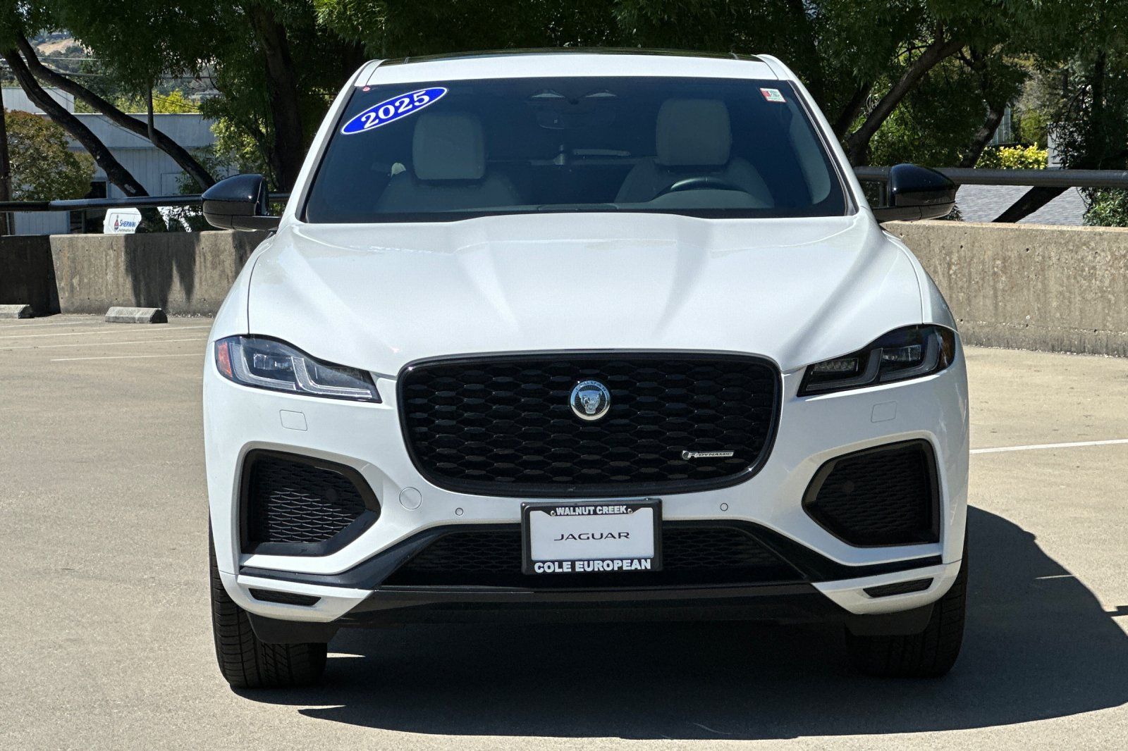 2025 Jaguar F-PACE P250 R-Dynamic S photo 3